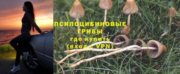 дживик Абаза
