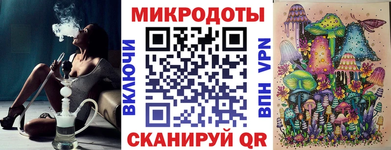 Псилоцибиновые грибы Psilocybe  где найти   Дзержинск 